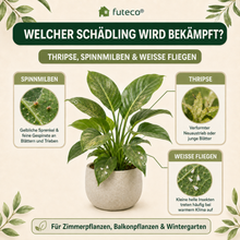 Lade das Bild in den Galerie-Viewer, Raubmilben Trio gegen Thripse, Spinnmilben & Weiße Fliege – 3-fach Schutz