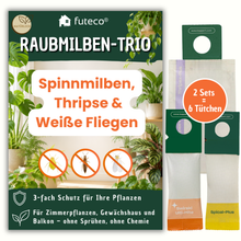 Lade das Bild in den Galerie-Viewer, Raubmilben Trio gegen Thripse, Spinnmilben & Weiße Fliege – 3-fach Schutz