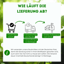Lade das Bild in den Galerie-Viewer, Raubmilben gegen Spinnmilben