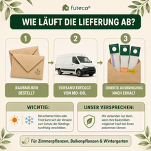 Lade das Bild in den Galerie-Viewer, Raubmilben Trio gegen Thripse, Spinnmilben & Weiße Fliege – 3-fach Schutz