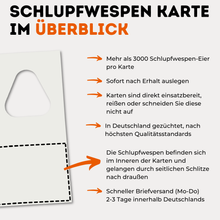 Lade das Bild in den Galerie-Viewer, Schlupfwespen gegen Lebensmittelmotten 1-fach Lieferung
